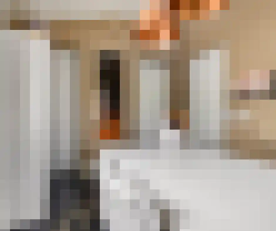 Hoofdstraat 66 Kesteren thumbnail 20