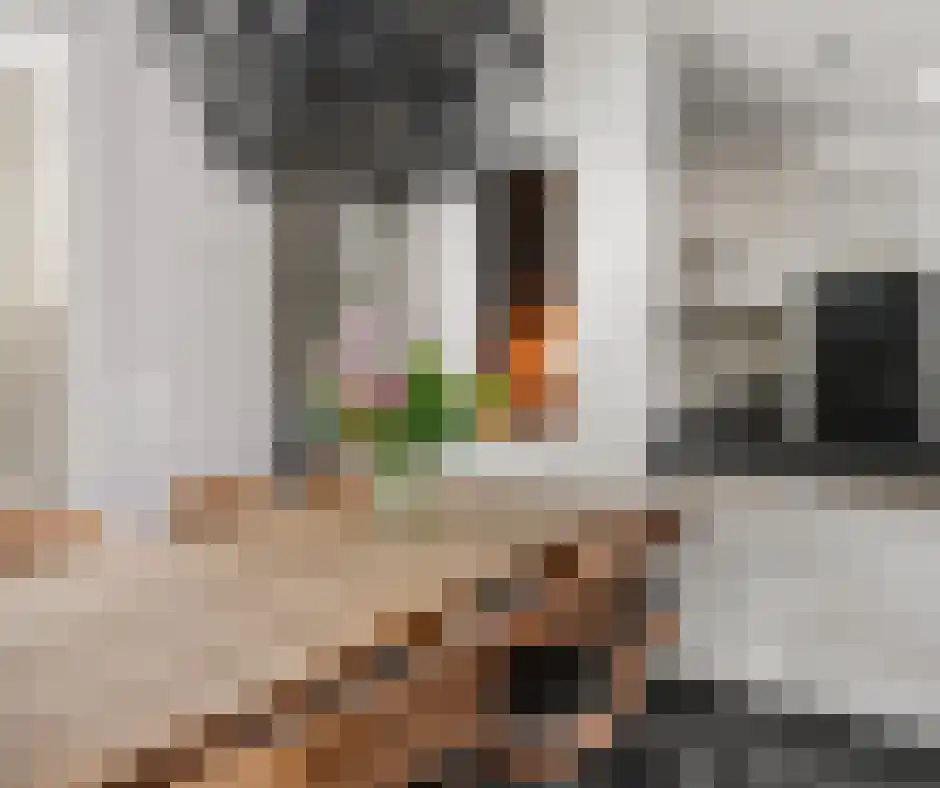 Hoofdstraat 66 Kesteren thumbnail 54