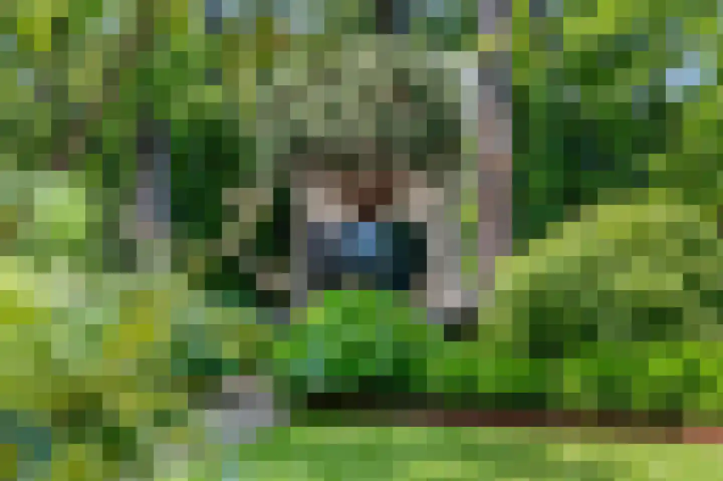 Hoofdstraat 66 Kesteren thumbnail 67