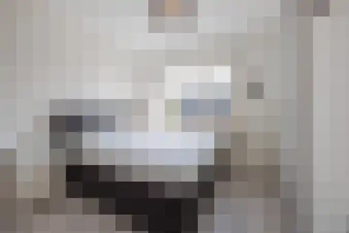 Hoofdstraat 66 Meerlo thumbnail 24