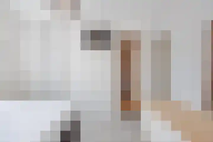 Hoofdstraat 66 Meerlo thumbnail 25
