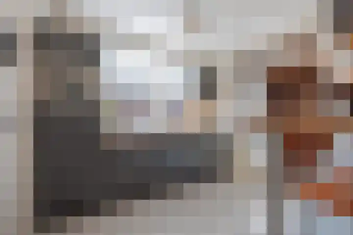 Hoofdstraat 66 Meerlo thumbnail 5