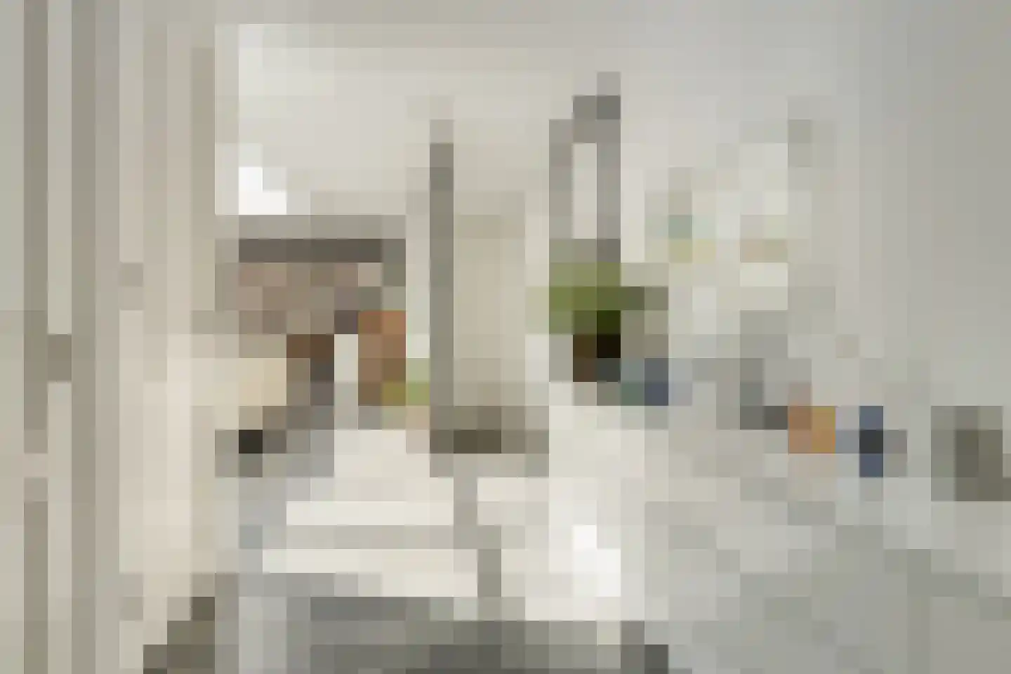 Hoofdstraat 66 Terborg thumbnail 12
