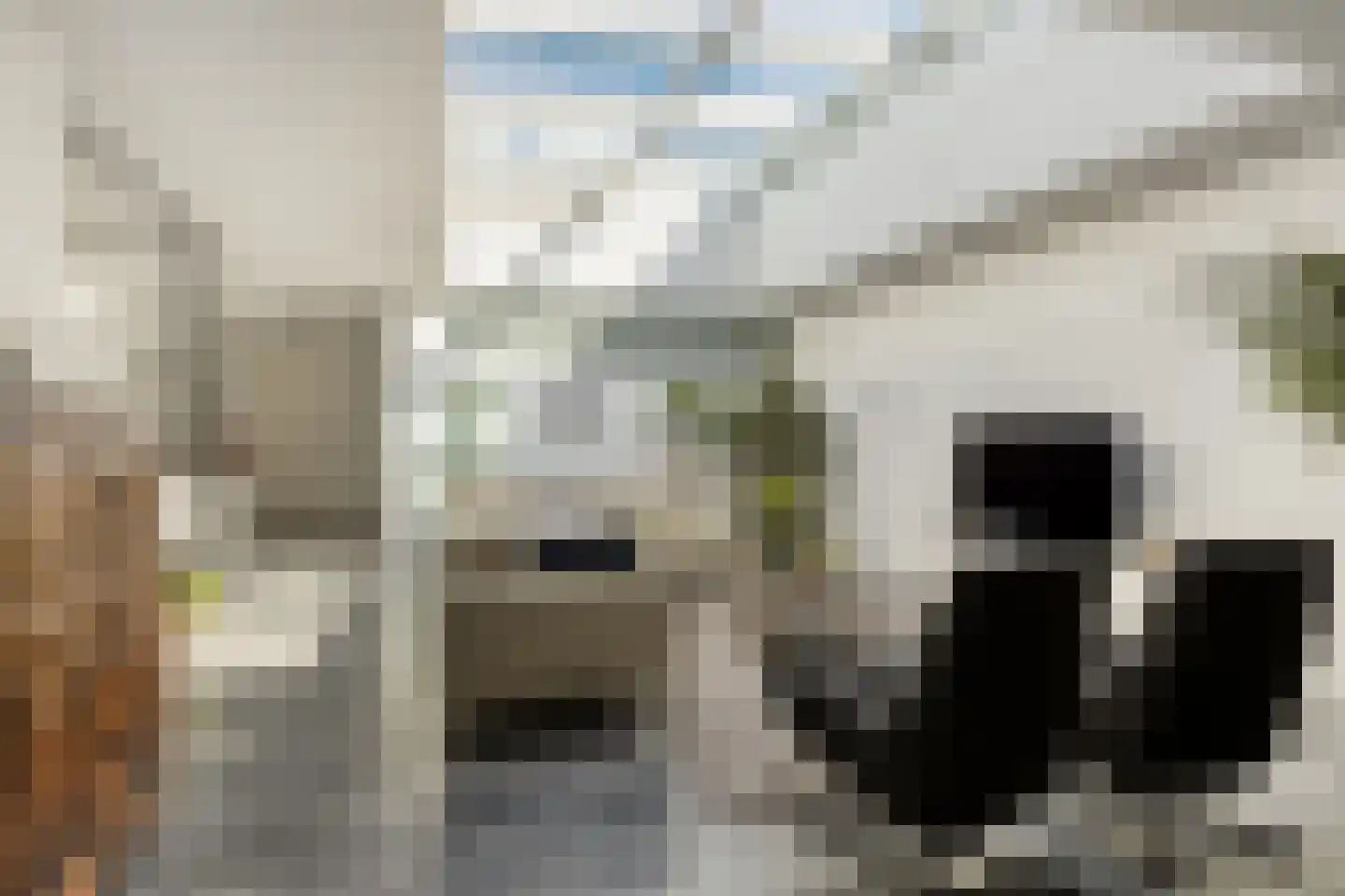 Hoofdstraat 66 Terborg thumbnail 16