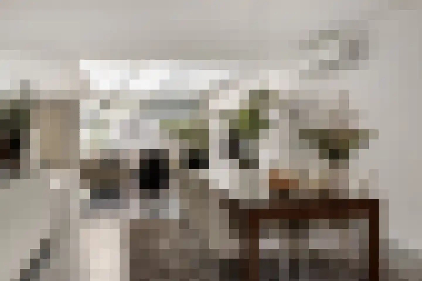 Hoofdstraat 66 Terborg thumbnail 18