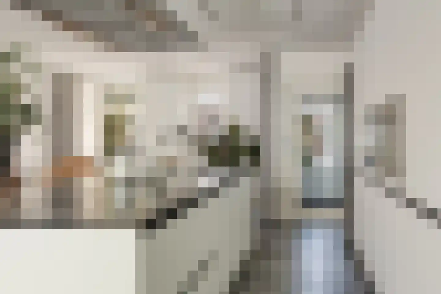 Hoofdstraat 66 Terborg thumbnail 20