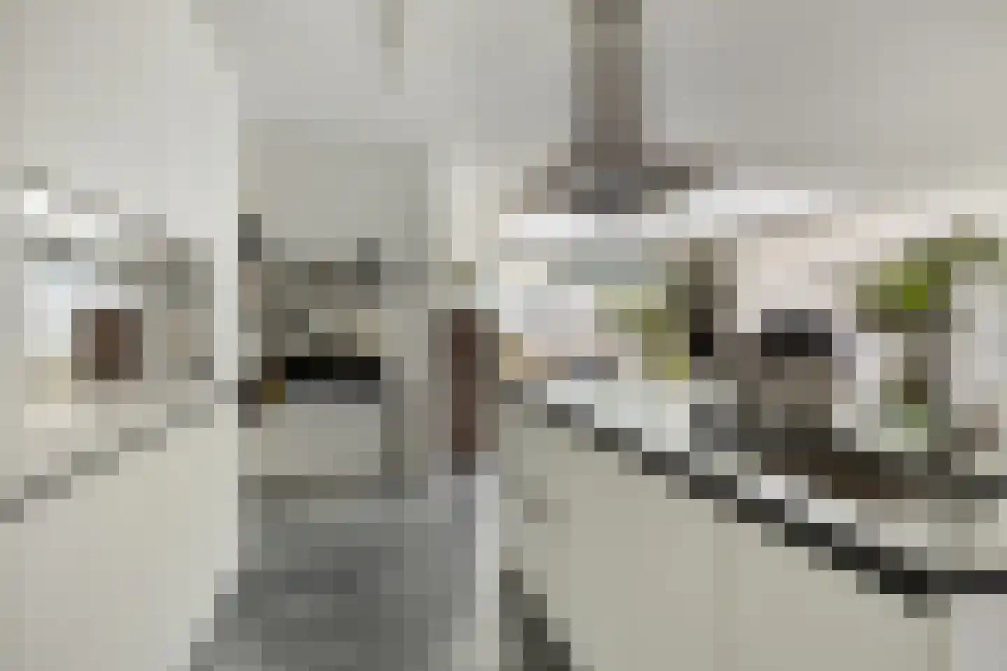 Hoofdstraat 66 Terborg thumbnail 21