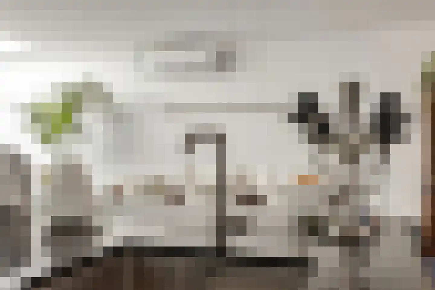Hoofdstraat 66 Terborg thumbnail 22
