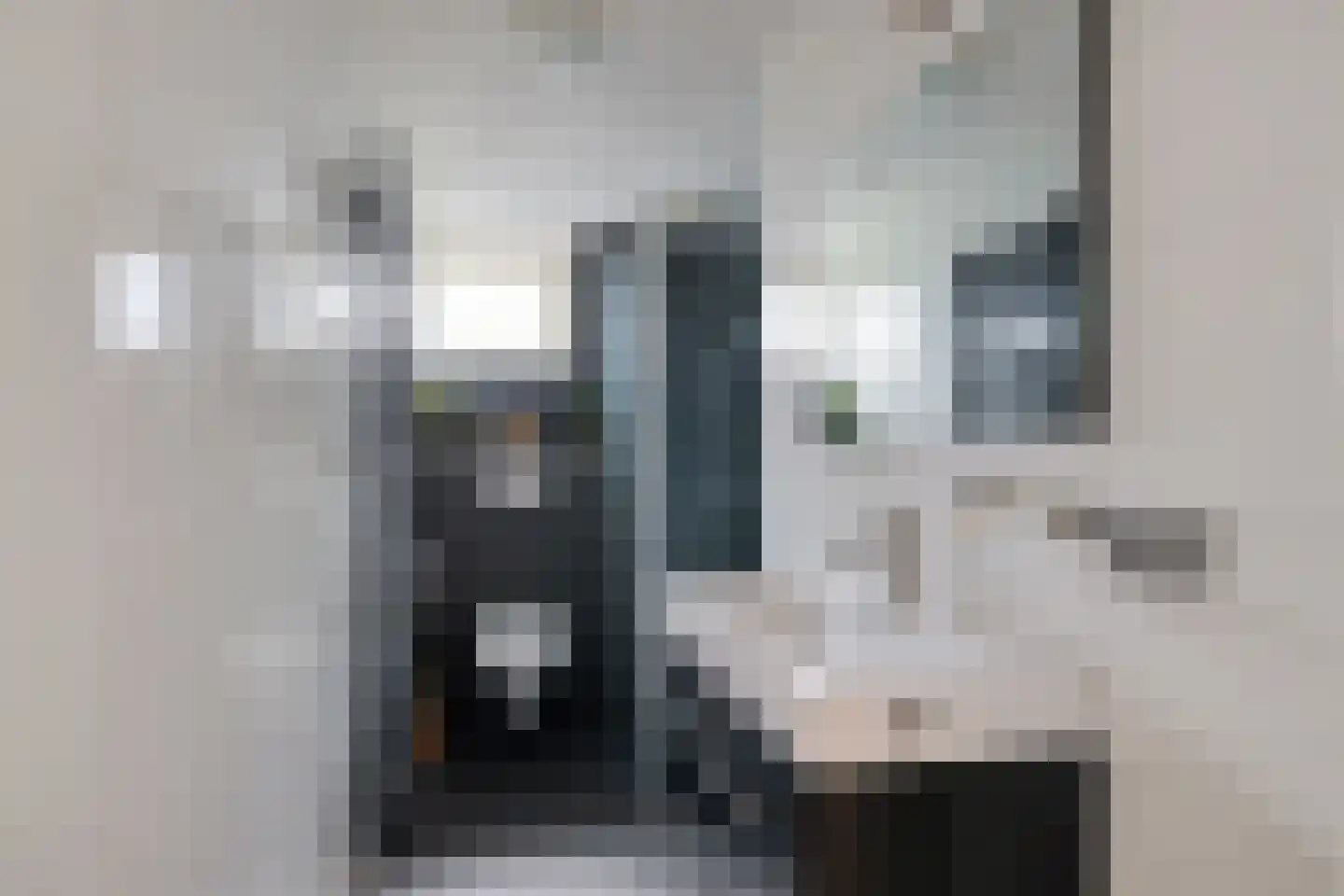 Hoofdstraat 66 Valthe thumbnail 39