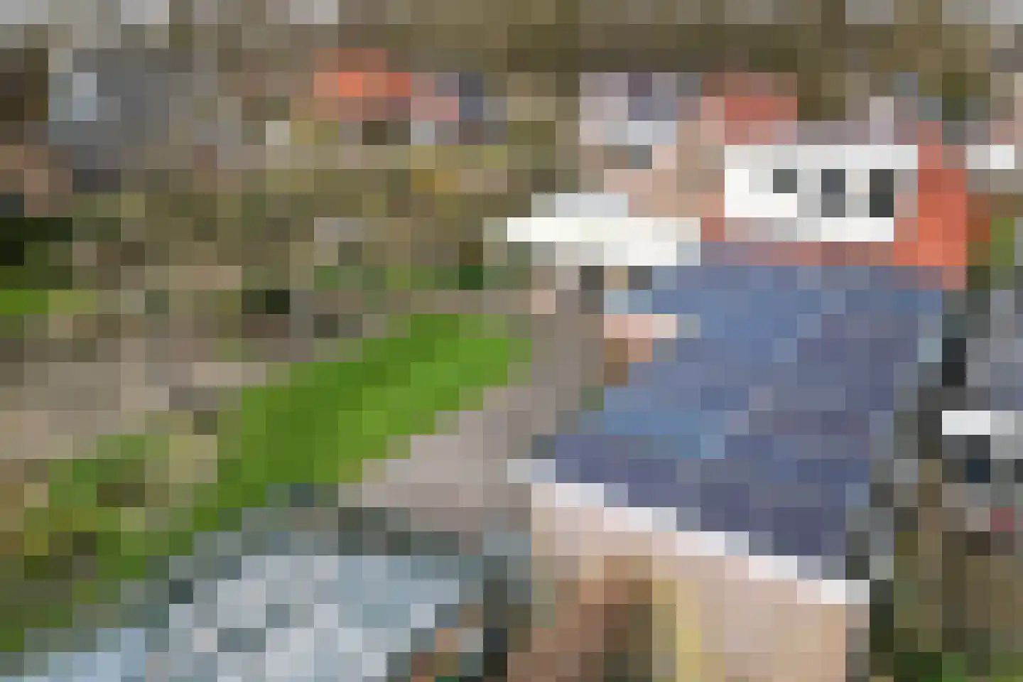 Hoofdstraat 66 Valthe thumbnail 64