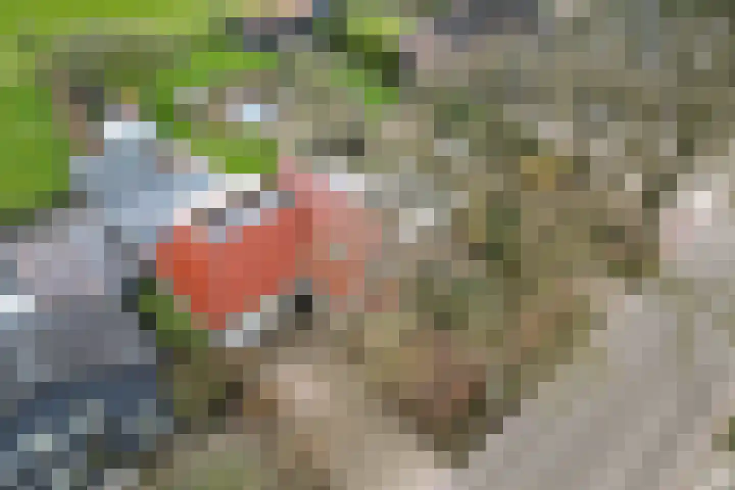 Hoofdstraat 66 Valthe thumbnail 68