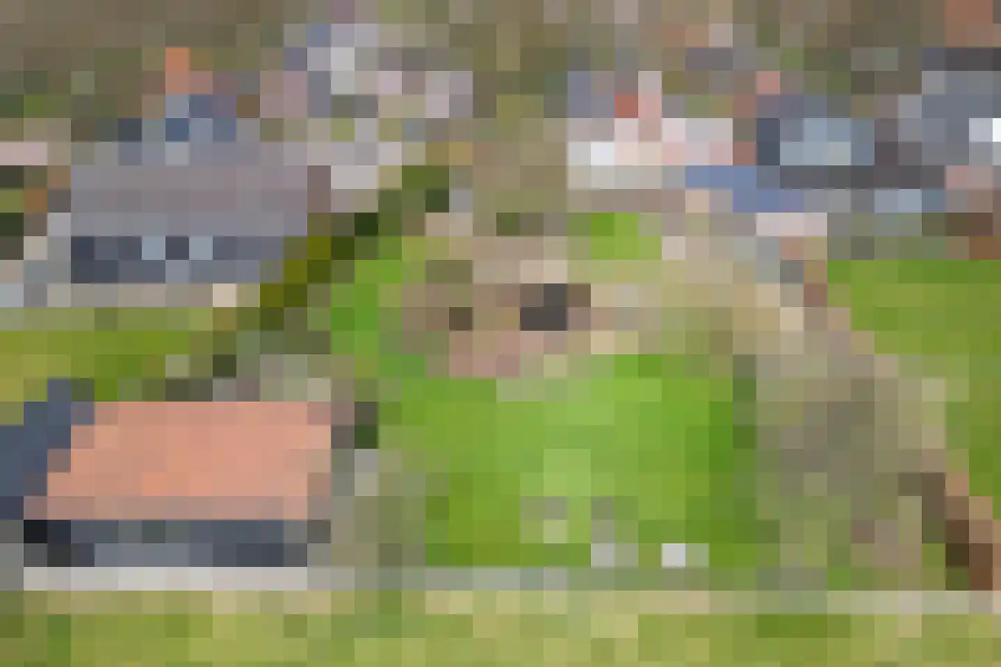 Hoofdstraat 66 Valthe thumbnail 7
