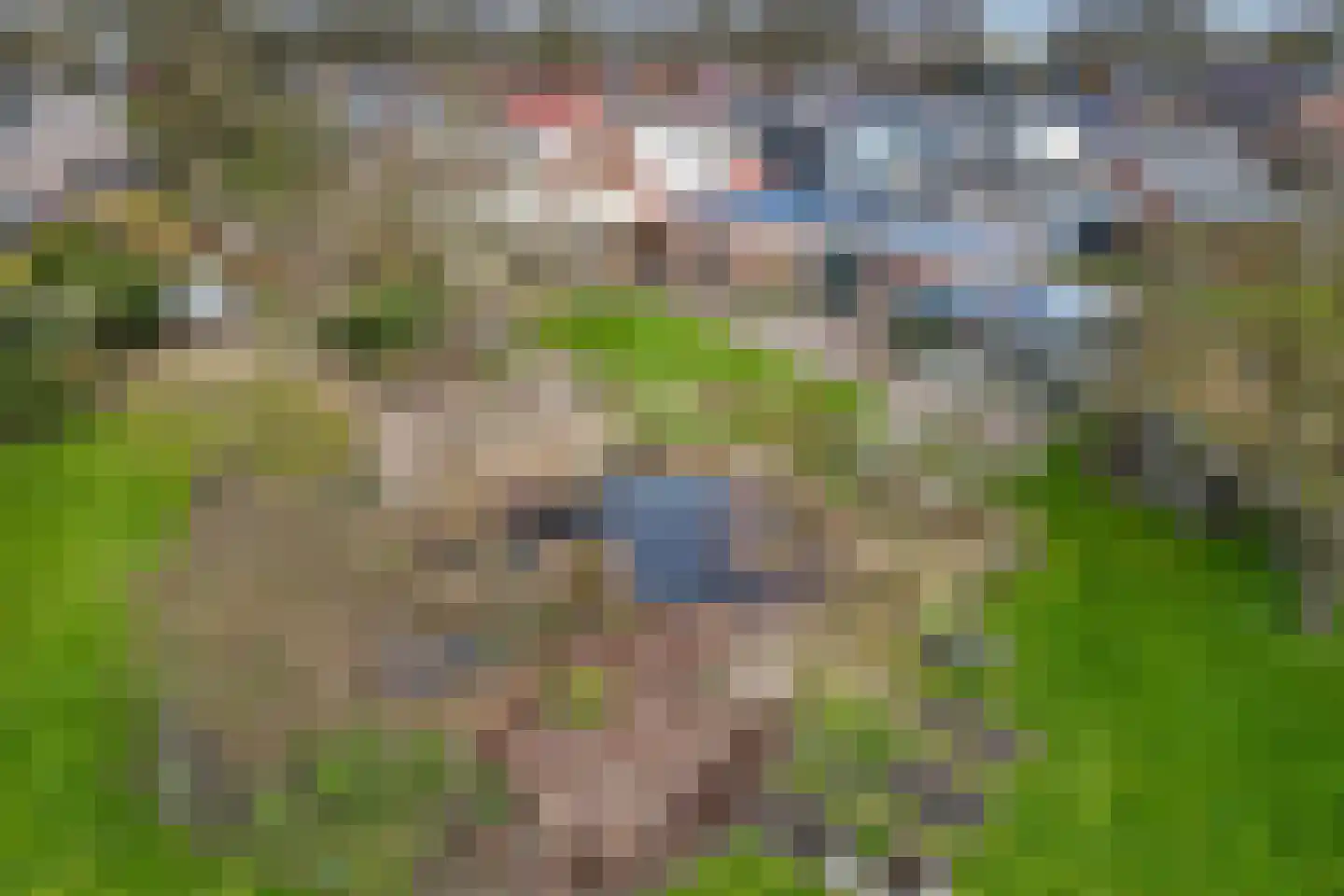 Hoofdstraat 66 Valthe thumbnail 8