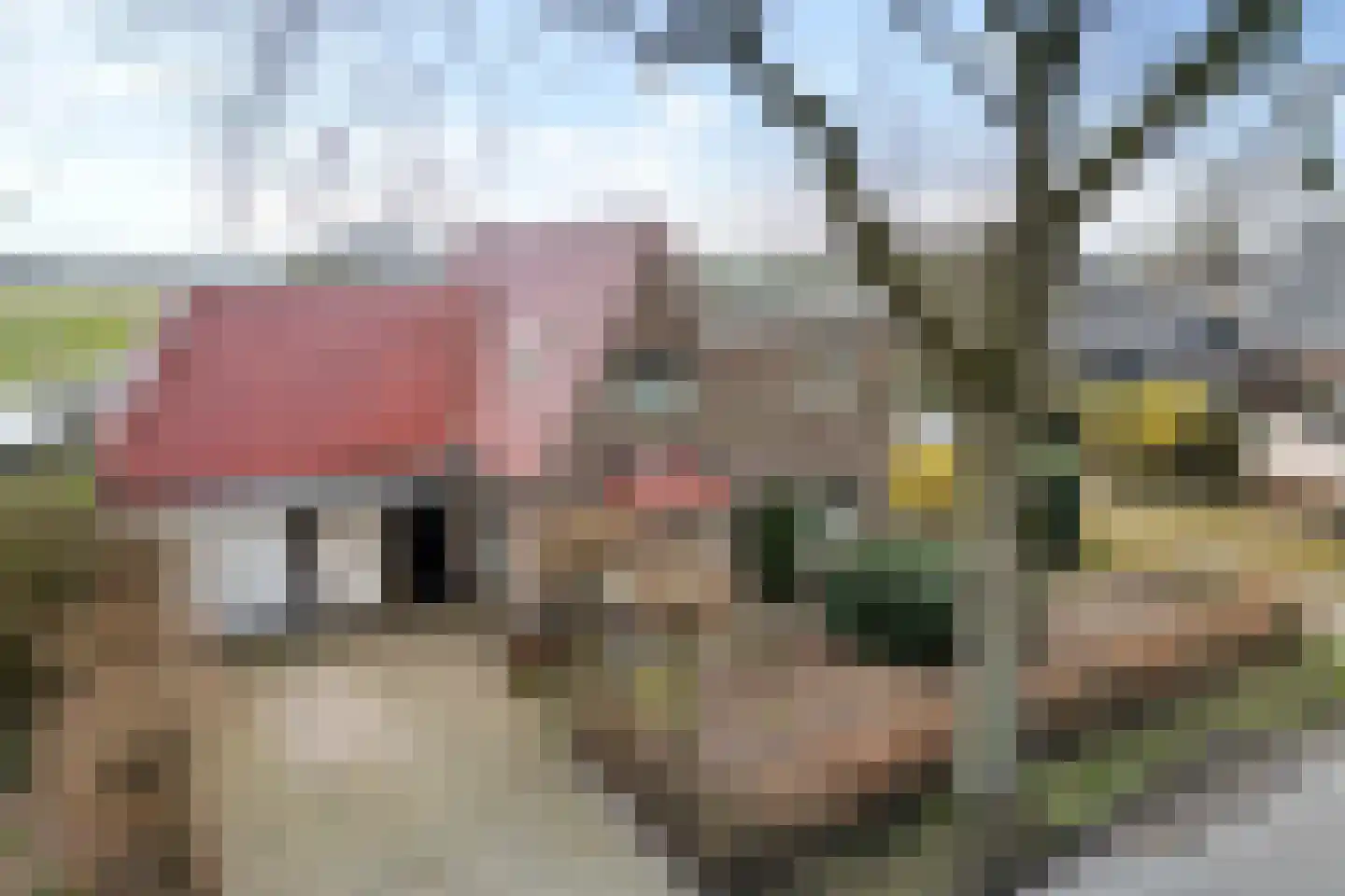 Hoofdstraat 66 Valthe thumbnail 9