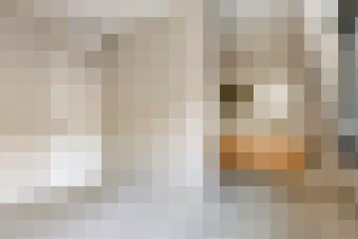 Hoofdstraat 67 g Gorssel thumbnail 22