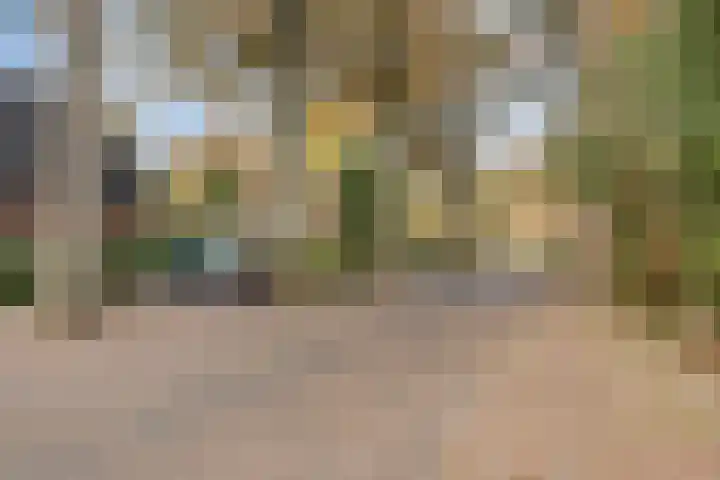 Hoofdstraat 67 g Gorssel thumbnail 34