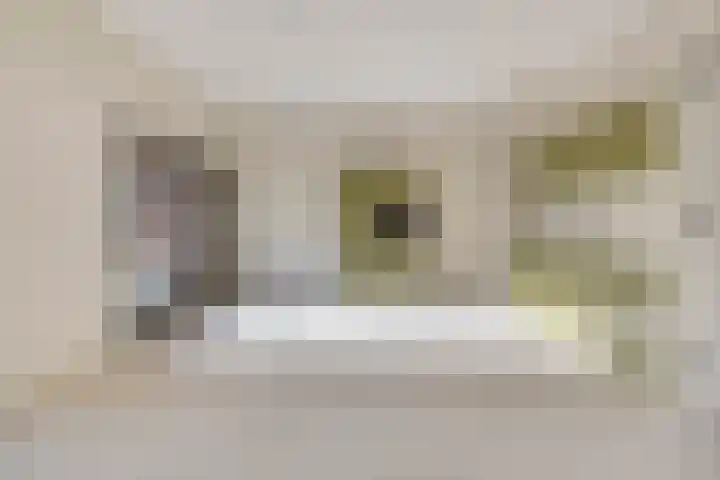 Hoofdstraat 67 g Gorssel thumbnail 9