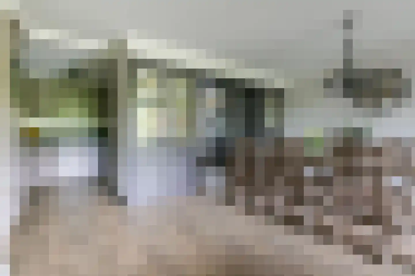 Hoofdstraat 67 Kesteren thumbnail 24