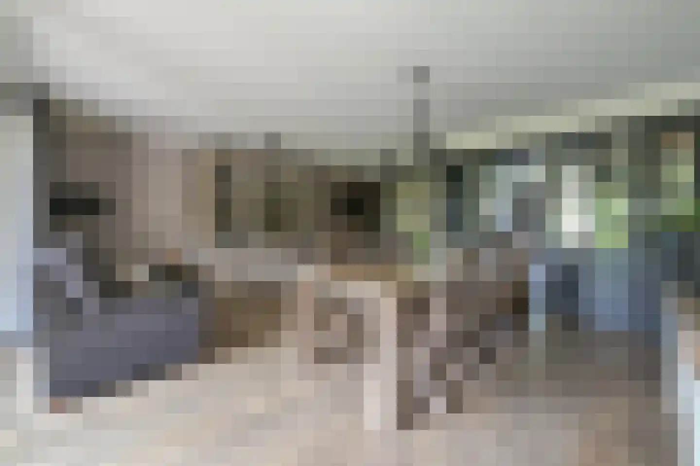 Hoofdstraat 67 Kesteren thumbnail 25