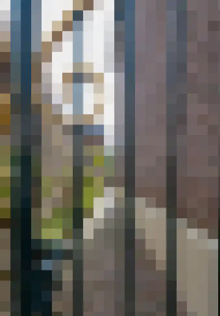 Hoofdstraat 68 Schimmert thumbnail 5
