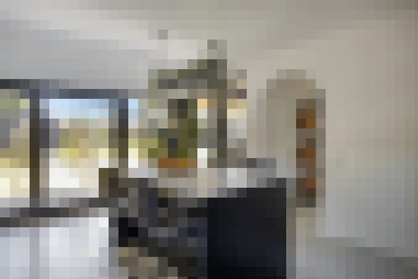 Hoofdstraat 69 a Heeswijk-Dinther thumbnail 19