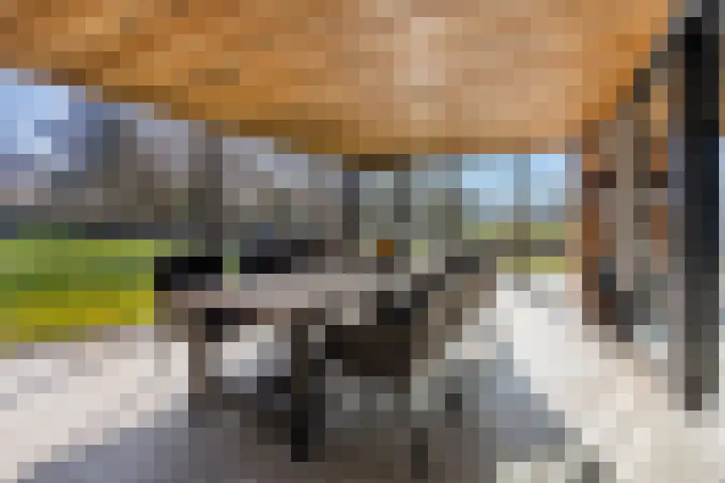 Hoofdstraat 69 a Heeswijk-Dinther thumbnail 41