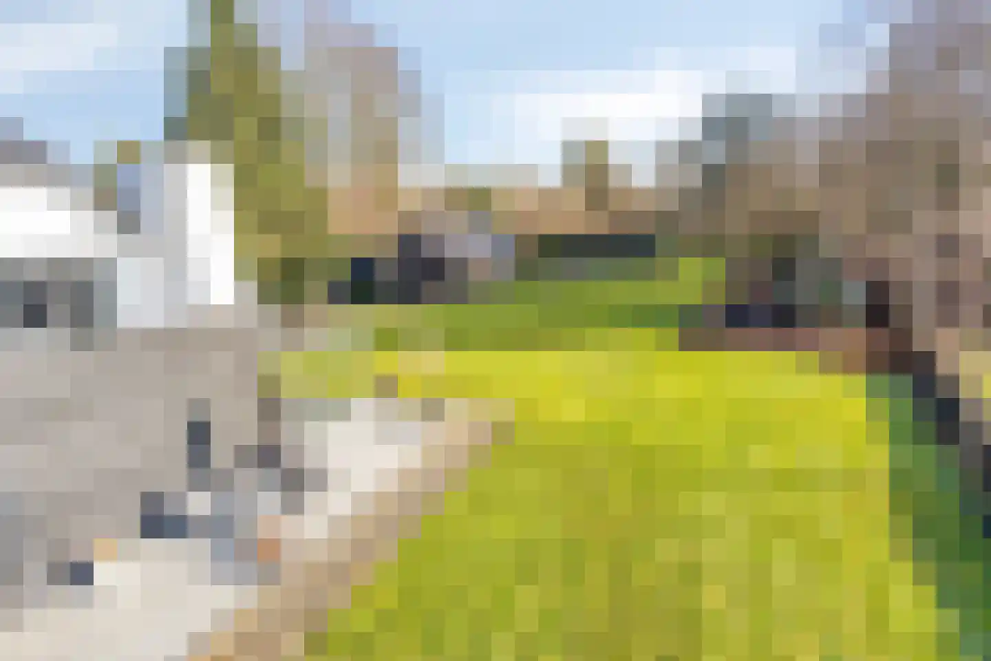 Hoofdstraat 69 a Heeswijk-Dinther thumbnail 46
