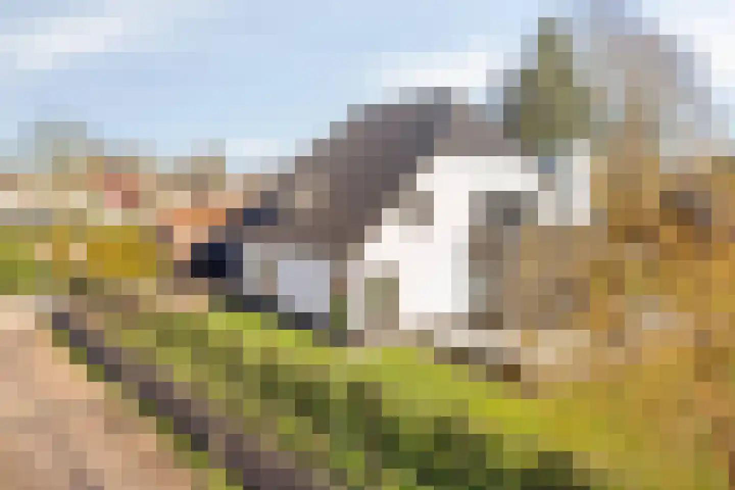 Hoofdstraat 69 a Heeswijk-Dinther thumbnail 58