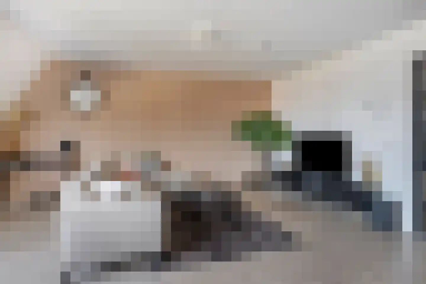 Hoofdstraat 69 B Hillegom thumbnail 11