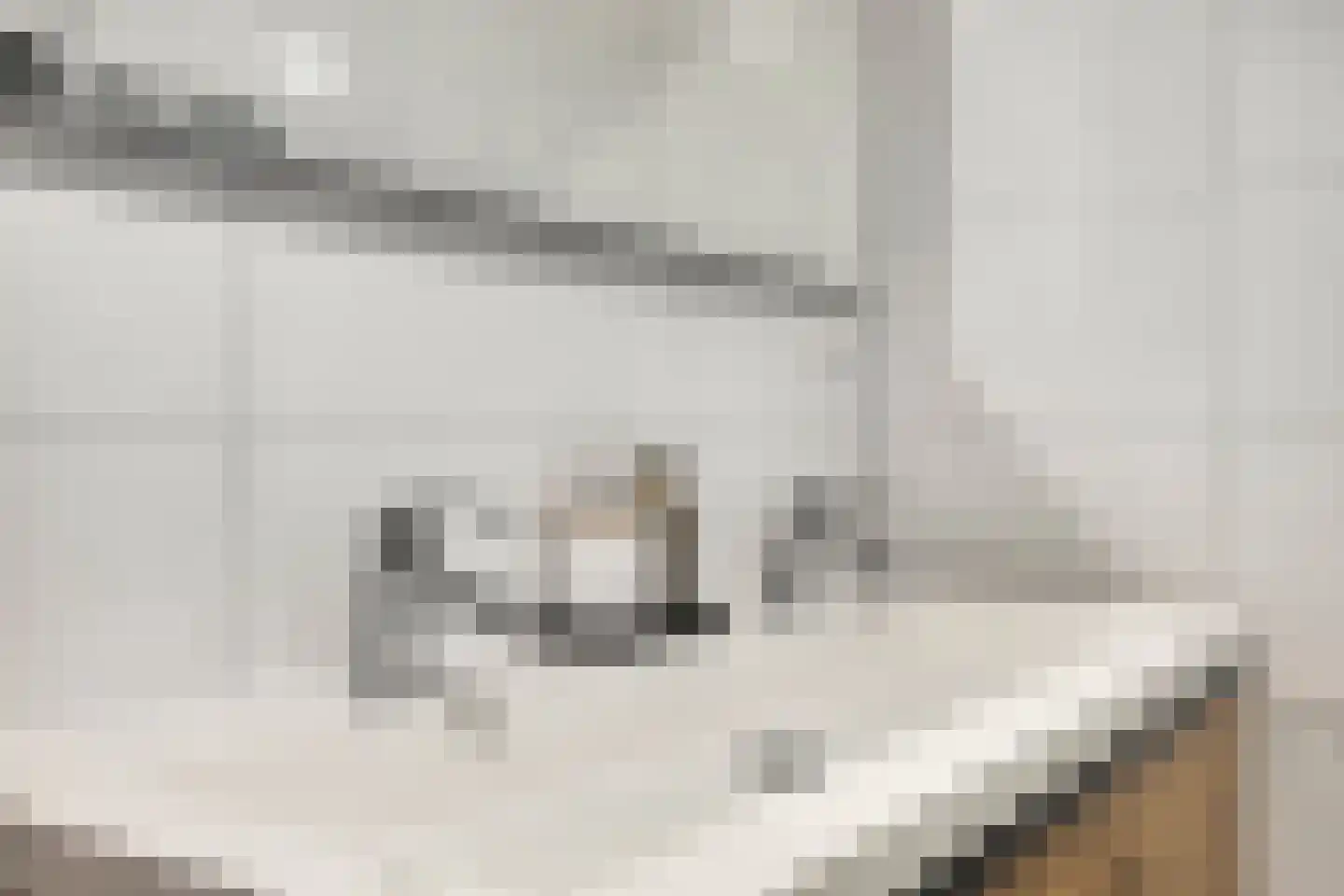 Hoofdstraat 69 B Hillegom thumbnail 32