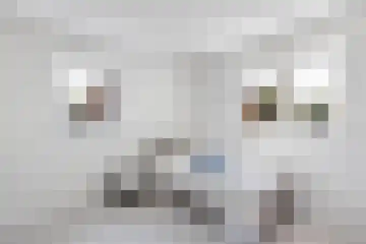 Hoofdstraat 69 Grootegast thumbnail 19