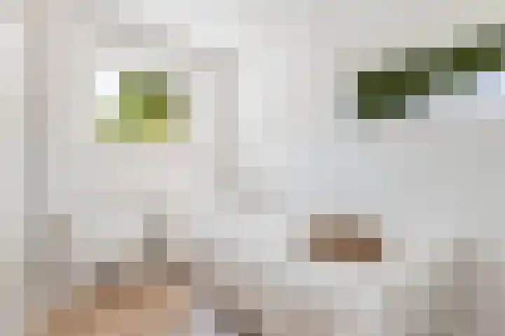 Hoofdstraat 69 Grootegast thumbnail 23