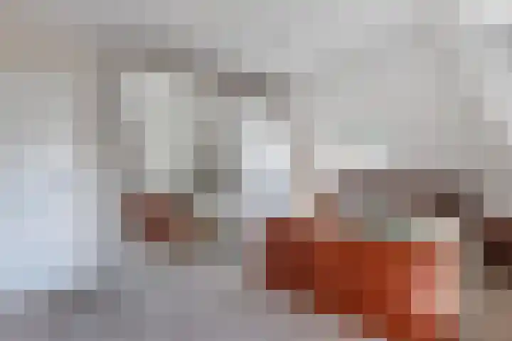Hoofdstraat 69 Grootegast thumbnail 27