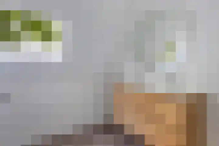 Hoofdstraat 69 Grootegast thumbnail 37