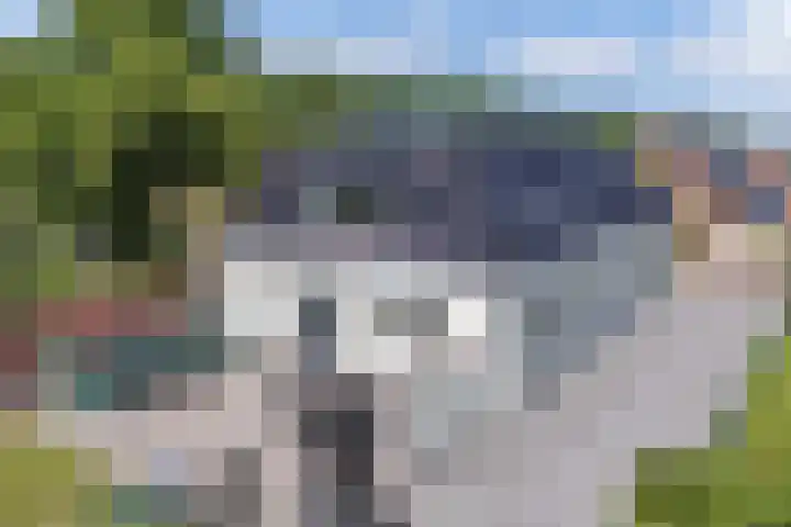 Hoofdstraat 69 Grootegast thumbnail 40