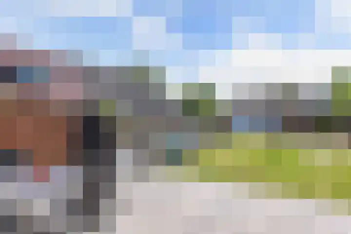 Hoofdstraat 69 Grootegast thumbnail 43