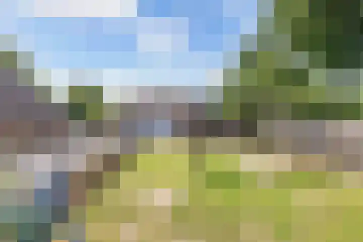 Hoofdstraat 69 Grootegast thumbnail 44