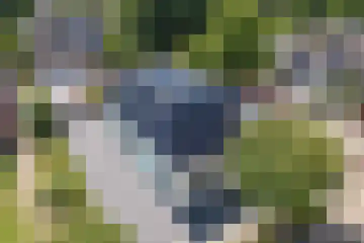 Hoofdstraat 69 Grootegast thumbnail 6