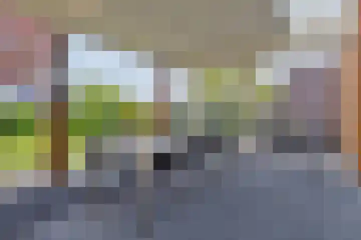 Hoofdstraat 69 Heeswijk-Dinther thumbnail 28
