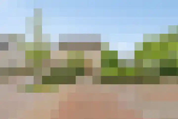 Hoofdstraat 69 Heeswijk-Dinther thumbnail 36