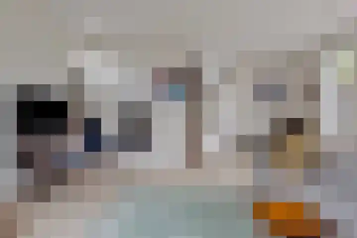Hoofdstraat 69 Heeswijk-Dinther thumbnail 7