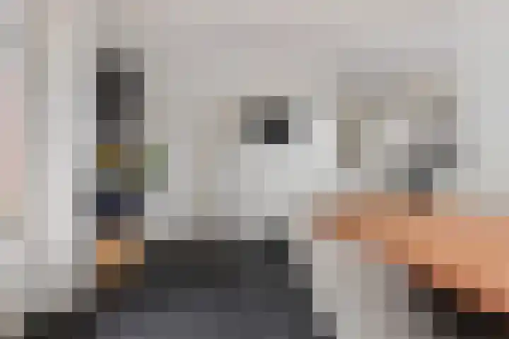 Hoofdstraat 69 Uithuizermeeden thumbnail 18