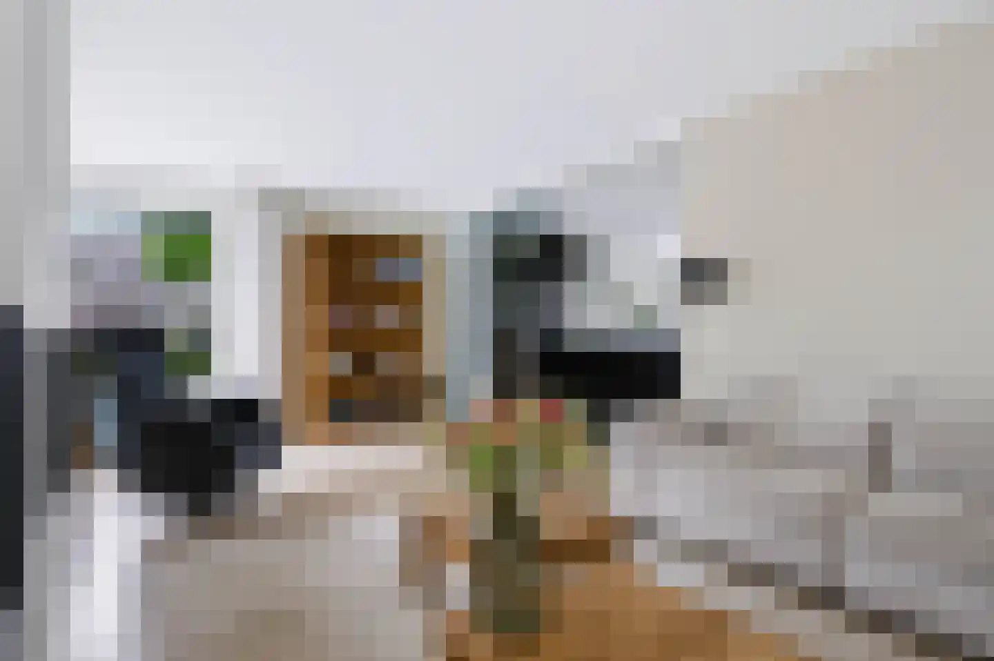 Hoofdstraat 69 Voorthuizen thumbnail 13