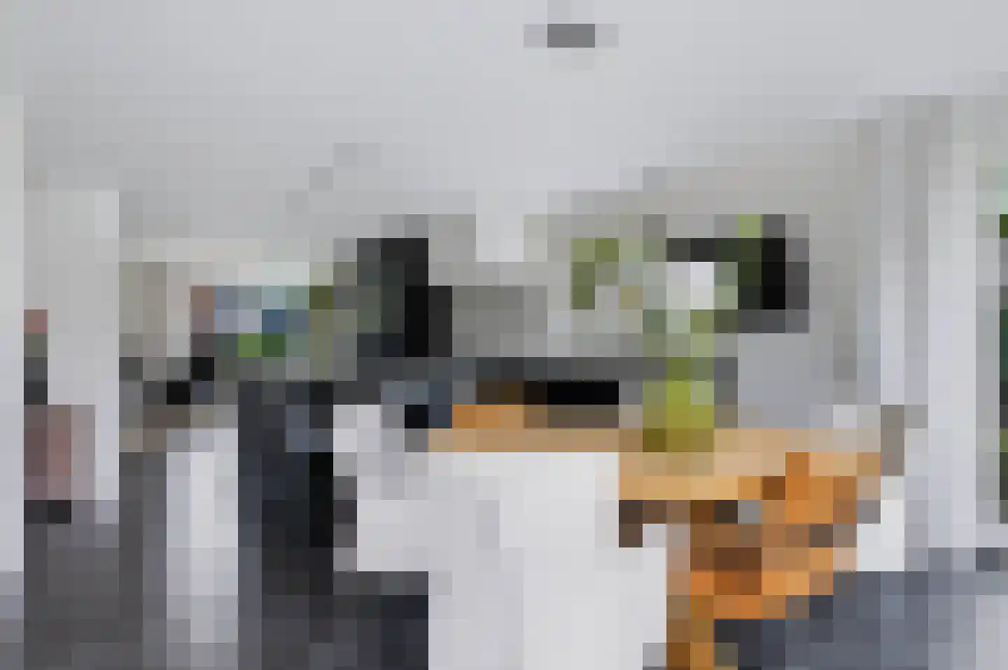 Hoofdstraat 69 Voorthuizen thumbnail 19