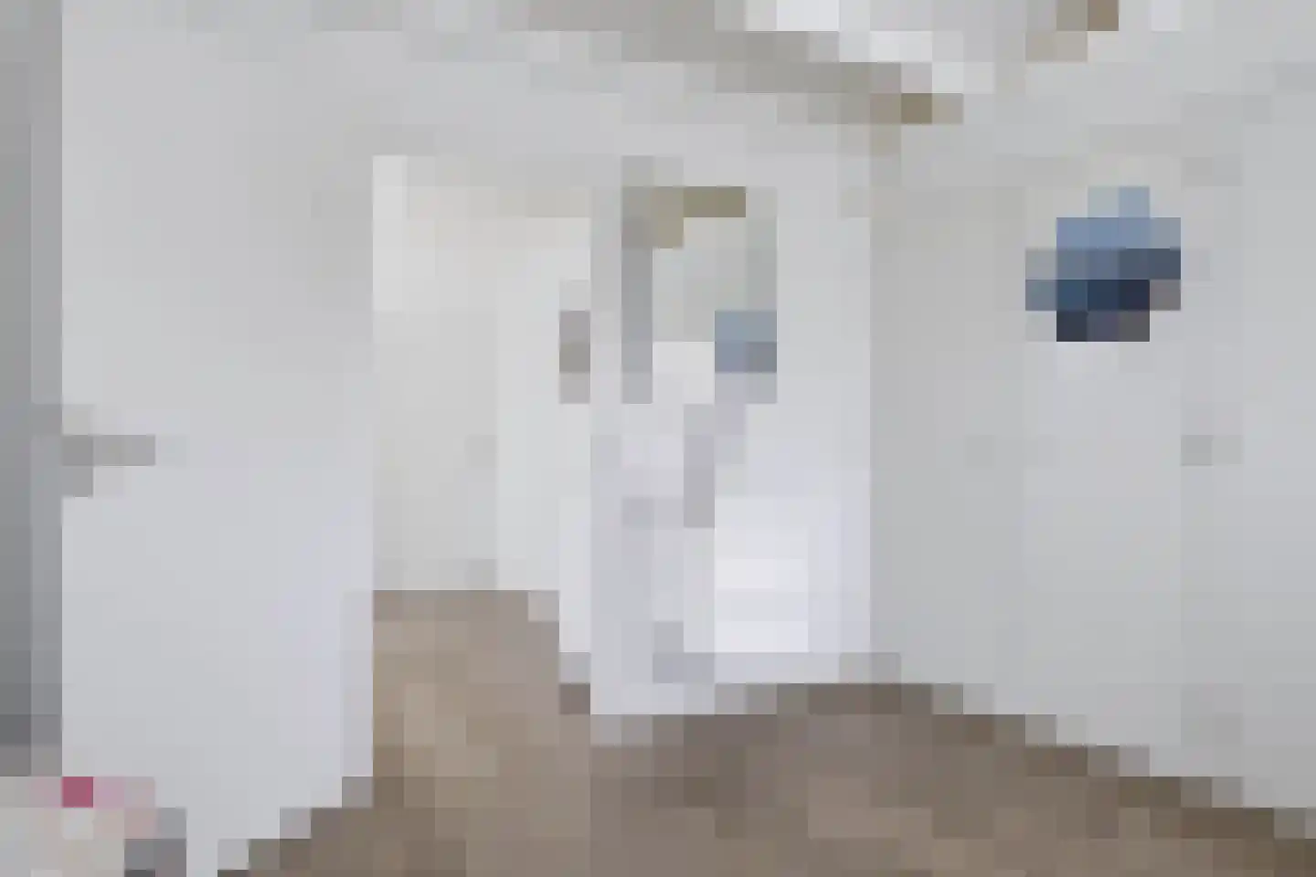 Hoofdstraat 69 Voorthuizen thumbnail 30