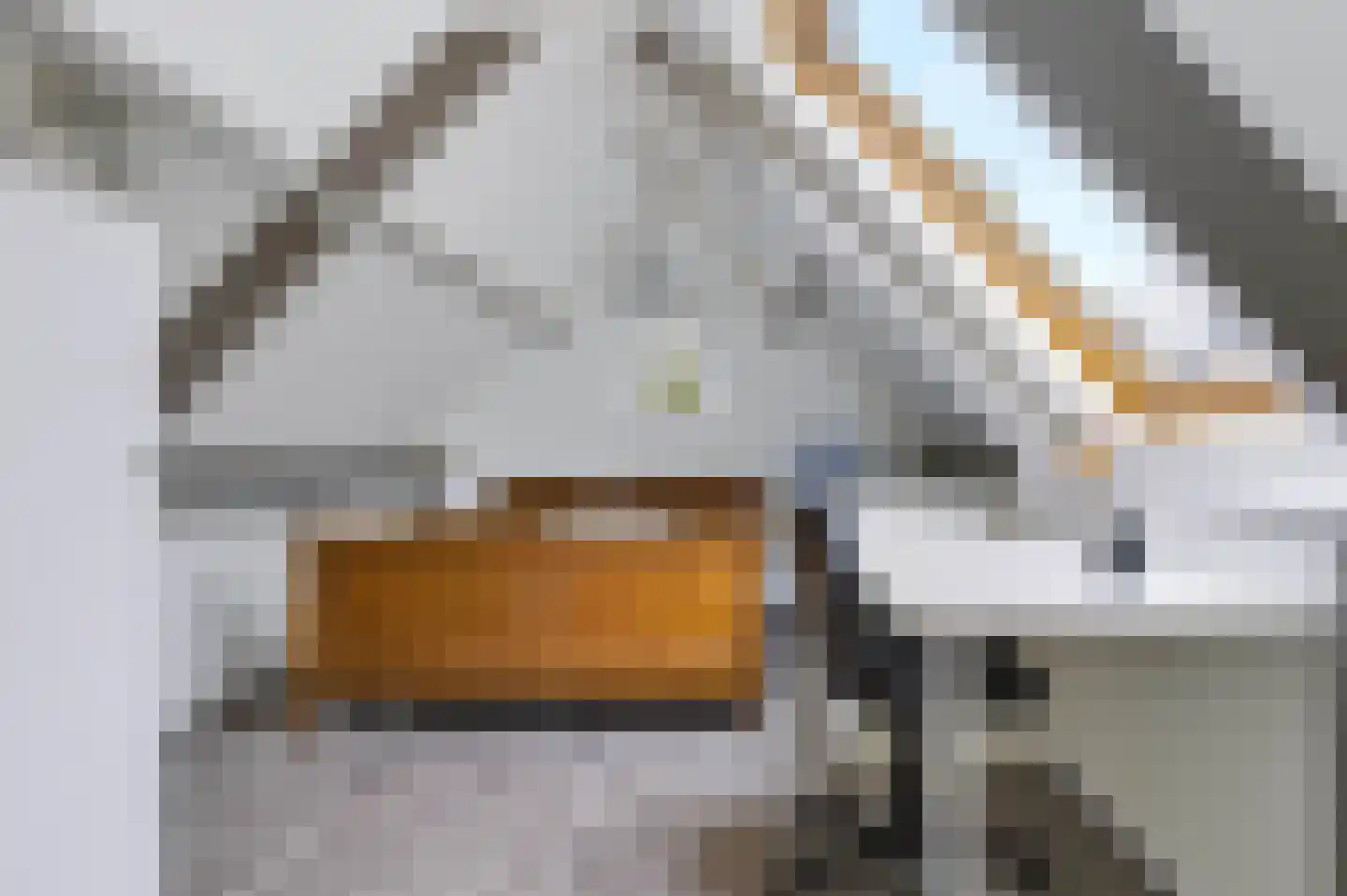 Hoofdstraat 69 Voorthuizen thumbnail 38