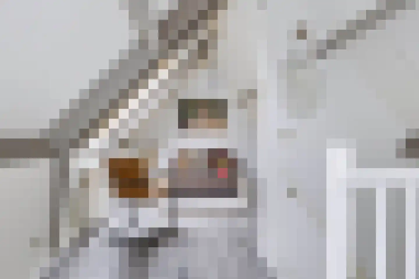 Hoofdstraat 69 Voorthuizen thumbnail 39