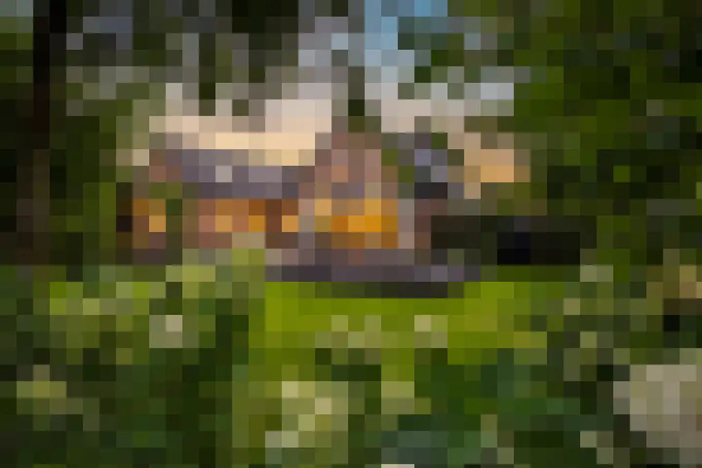 Hoofdstraat 69 Voorthuizen thumbnail 4