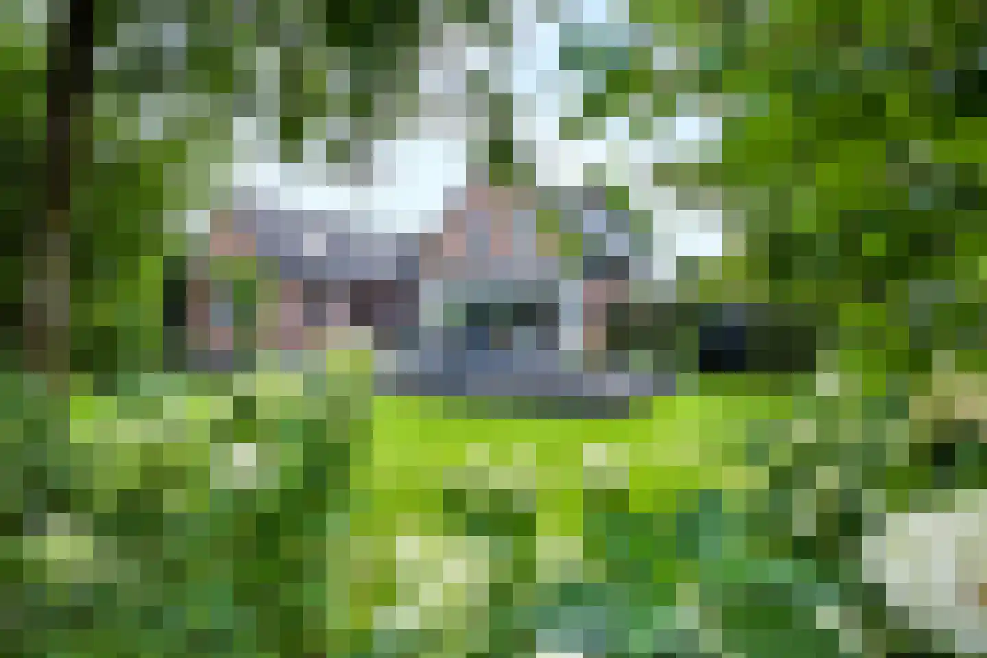 Hoofdstraat 69 Voorthuizen thumbnail 42