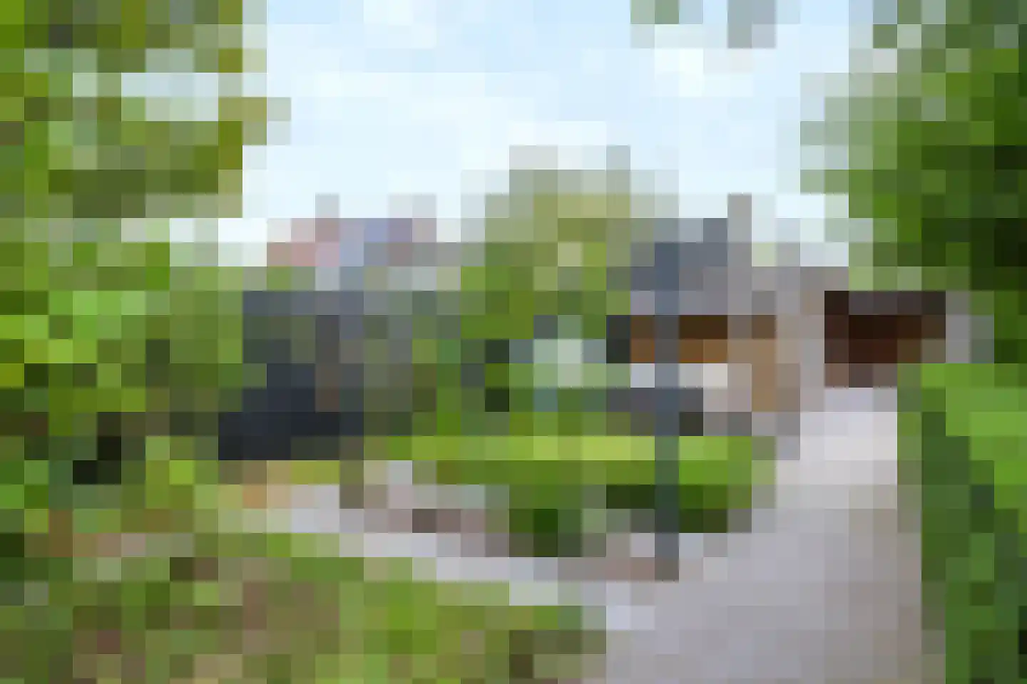 Hoofdstraat 69 Voorthuizen thumbnail 53
